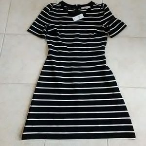 Loft dress, new with tags